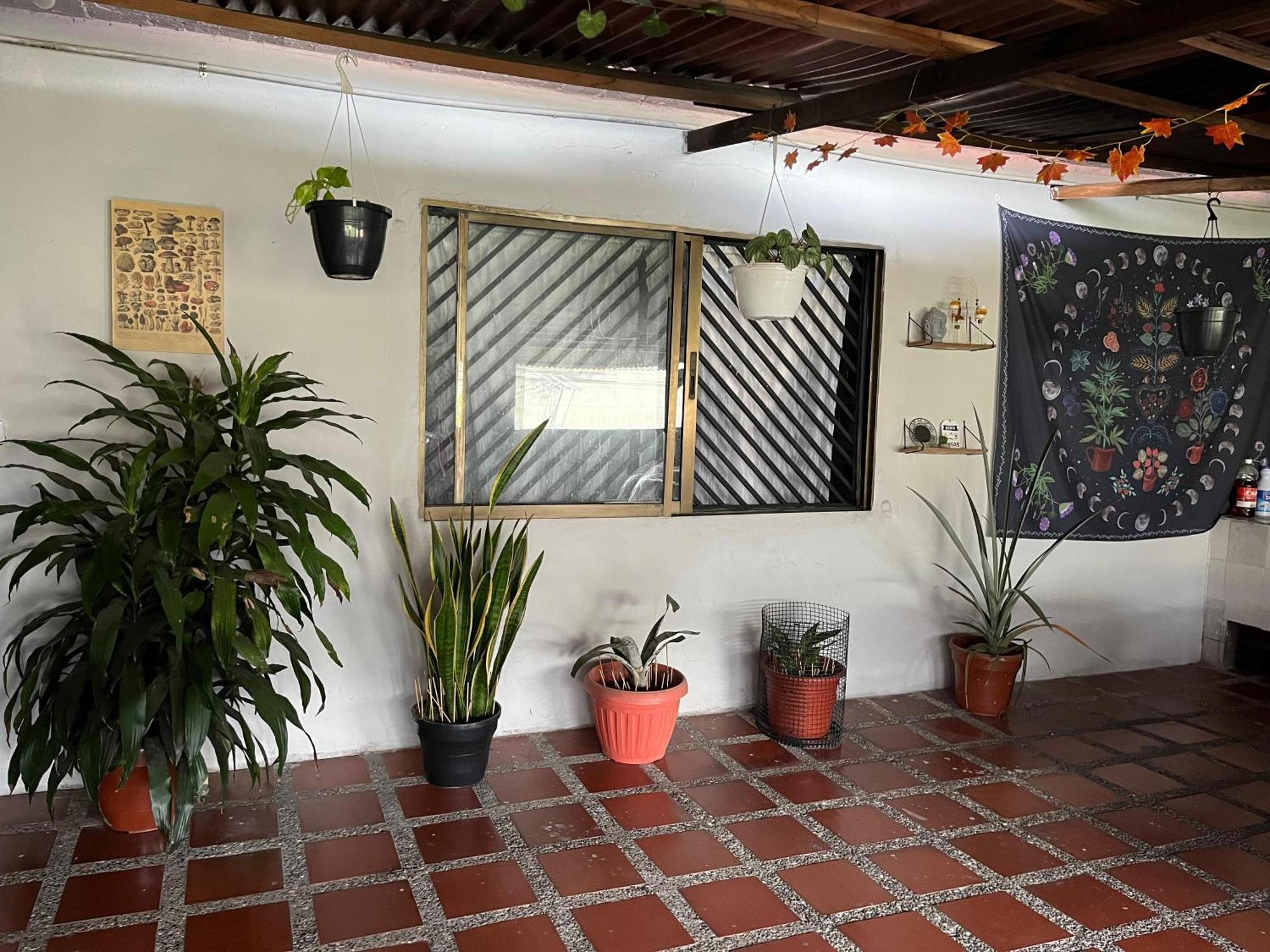 Nice Place Medellín Esterno foto
